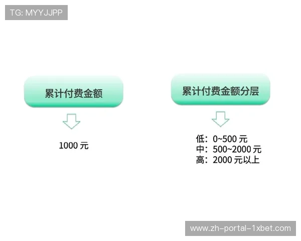 会员分层服务体系细化，提高用户忠诚度